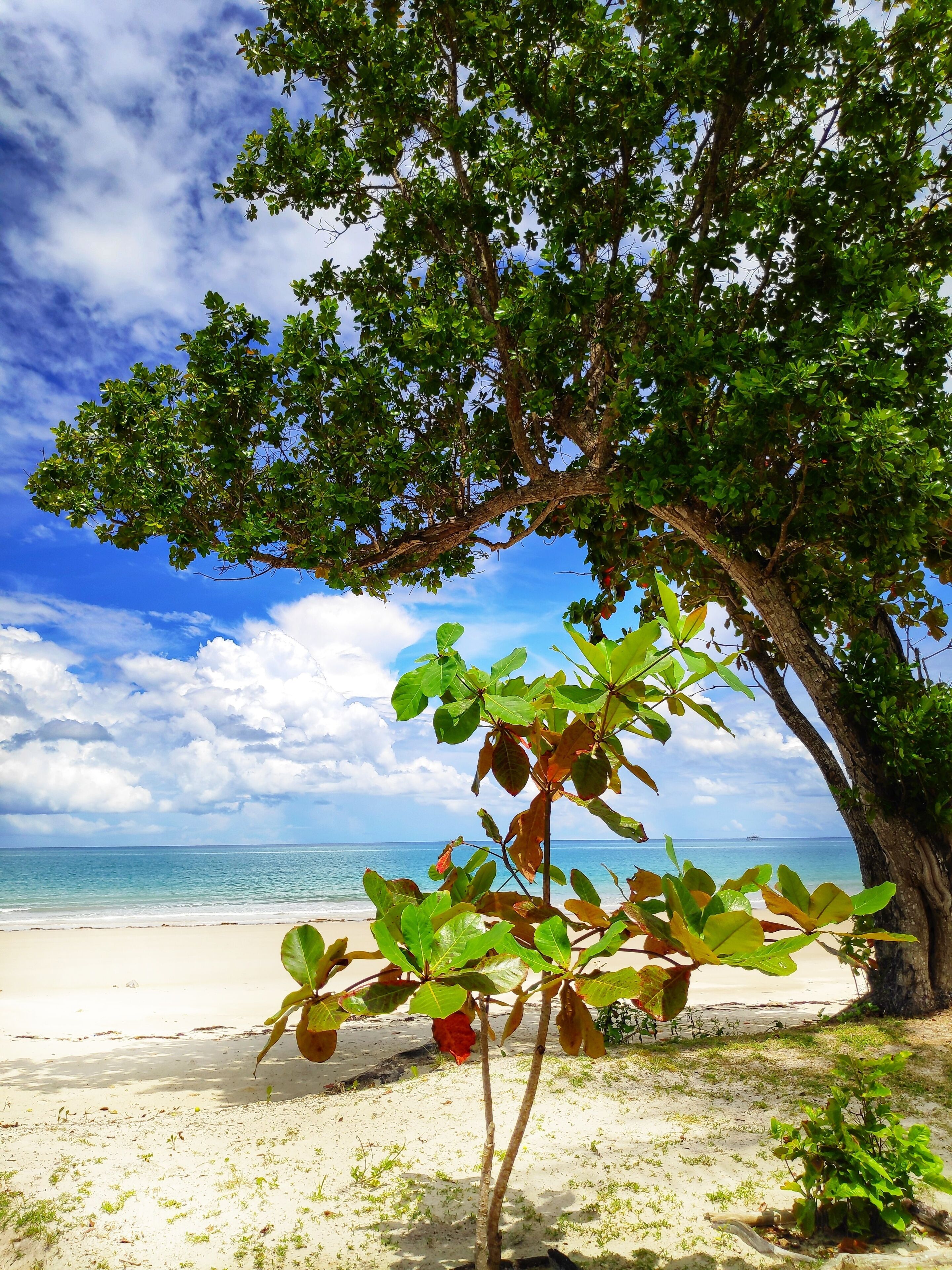 Earth Park Resorts