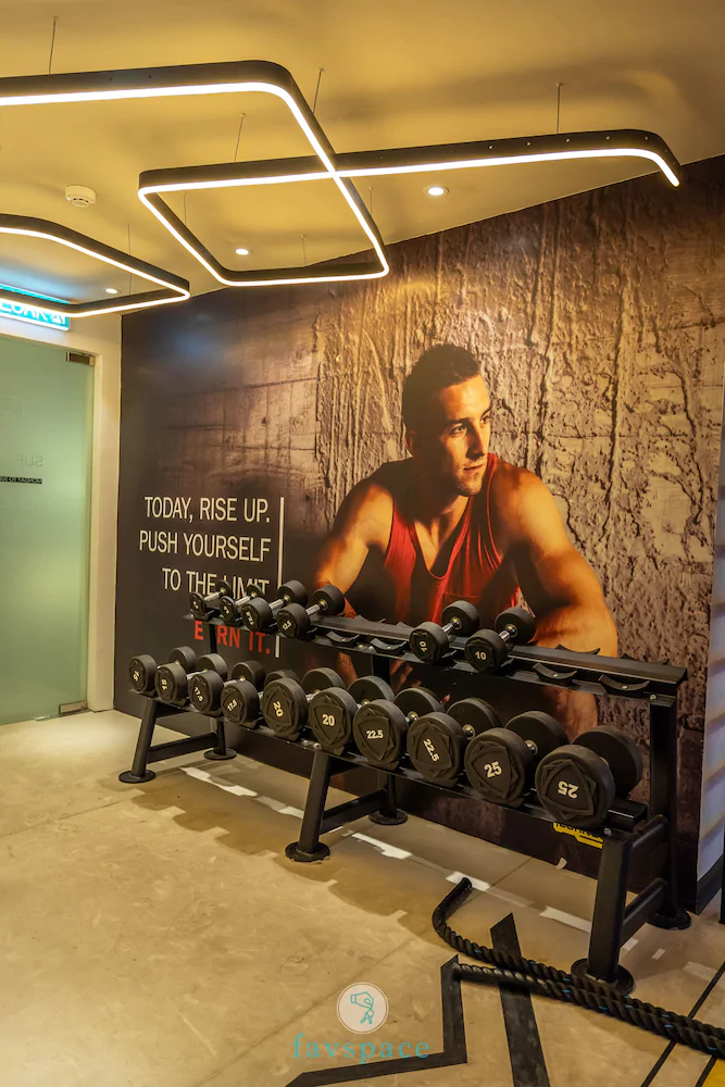 Arte Plus by FavSpace