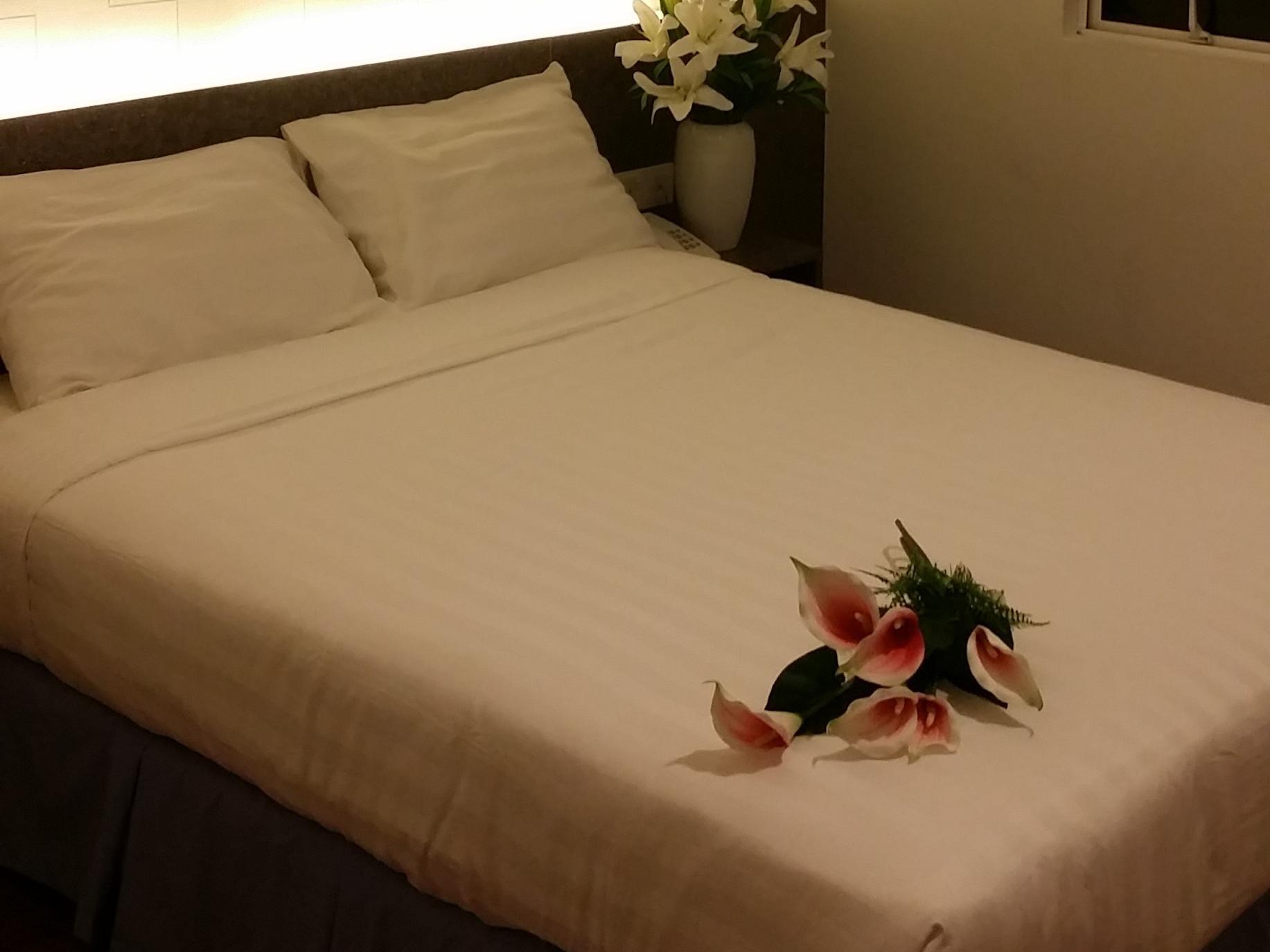 Canary Hotel