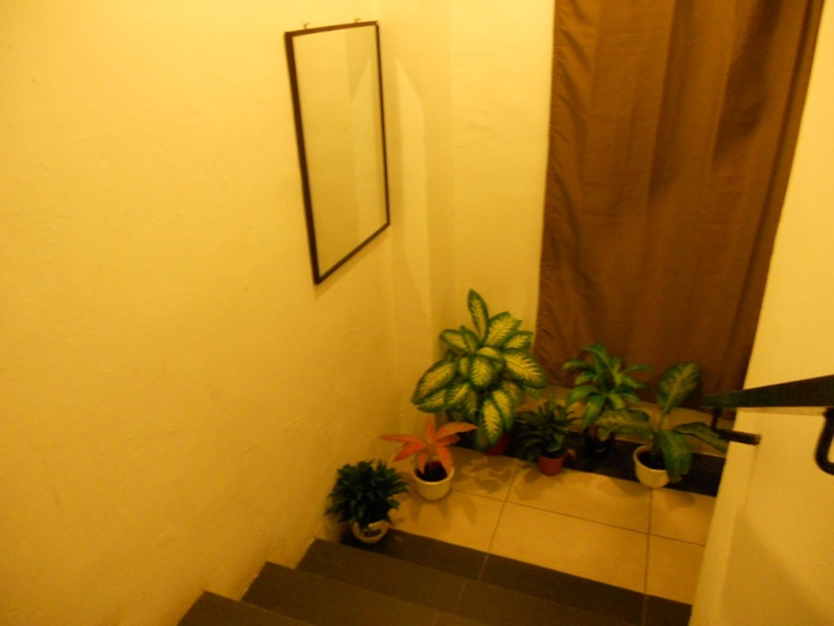 Check Mate Guest House