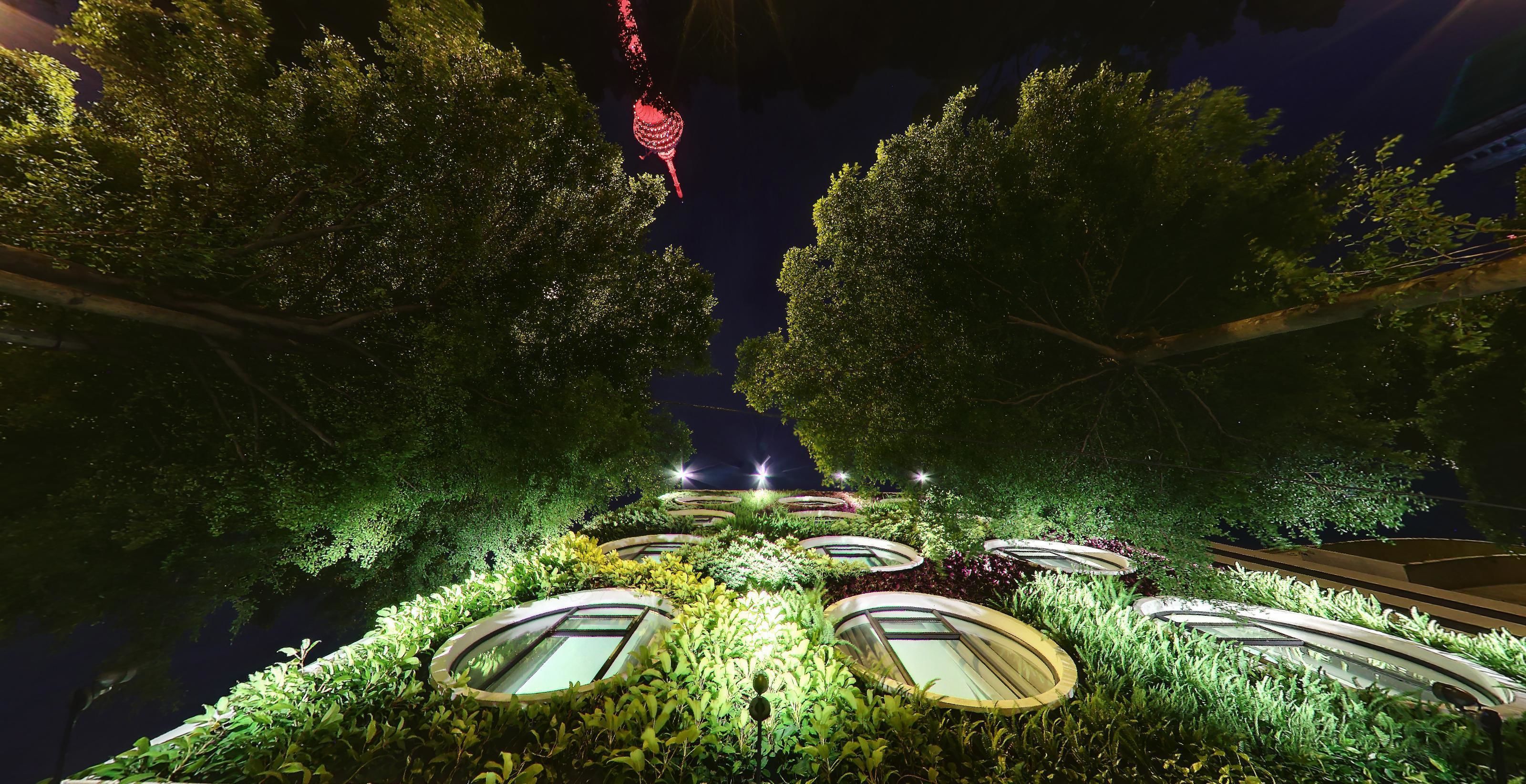 Flora by Crossroads Hotel