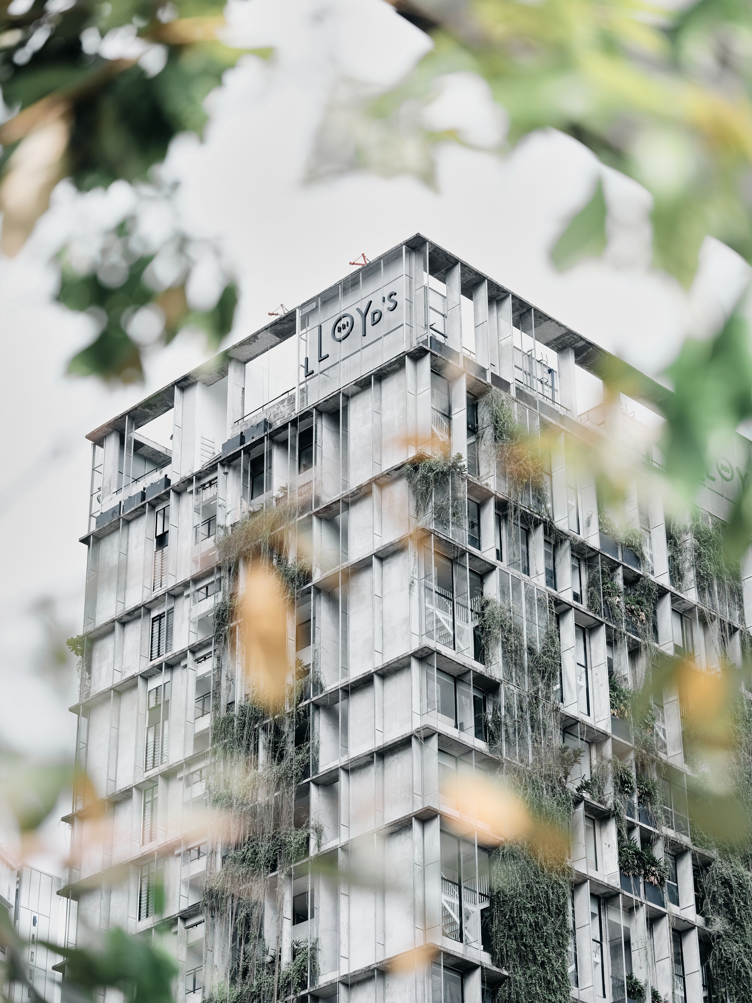 Lloyd's Inn