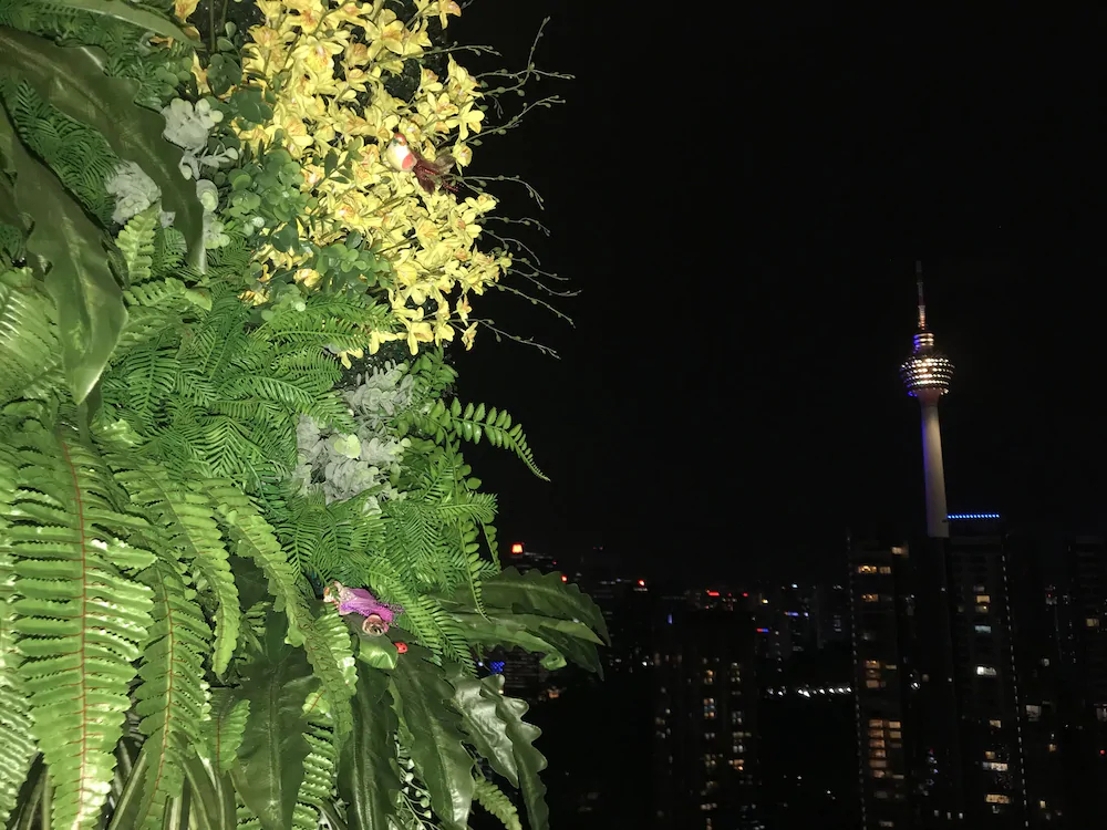 Magical View Homestay @ The Robertson