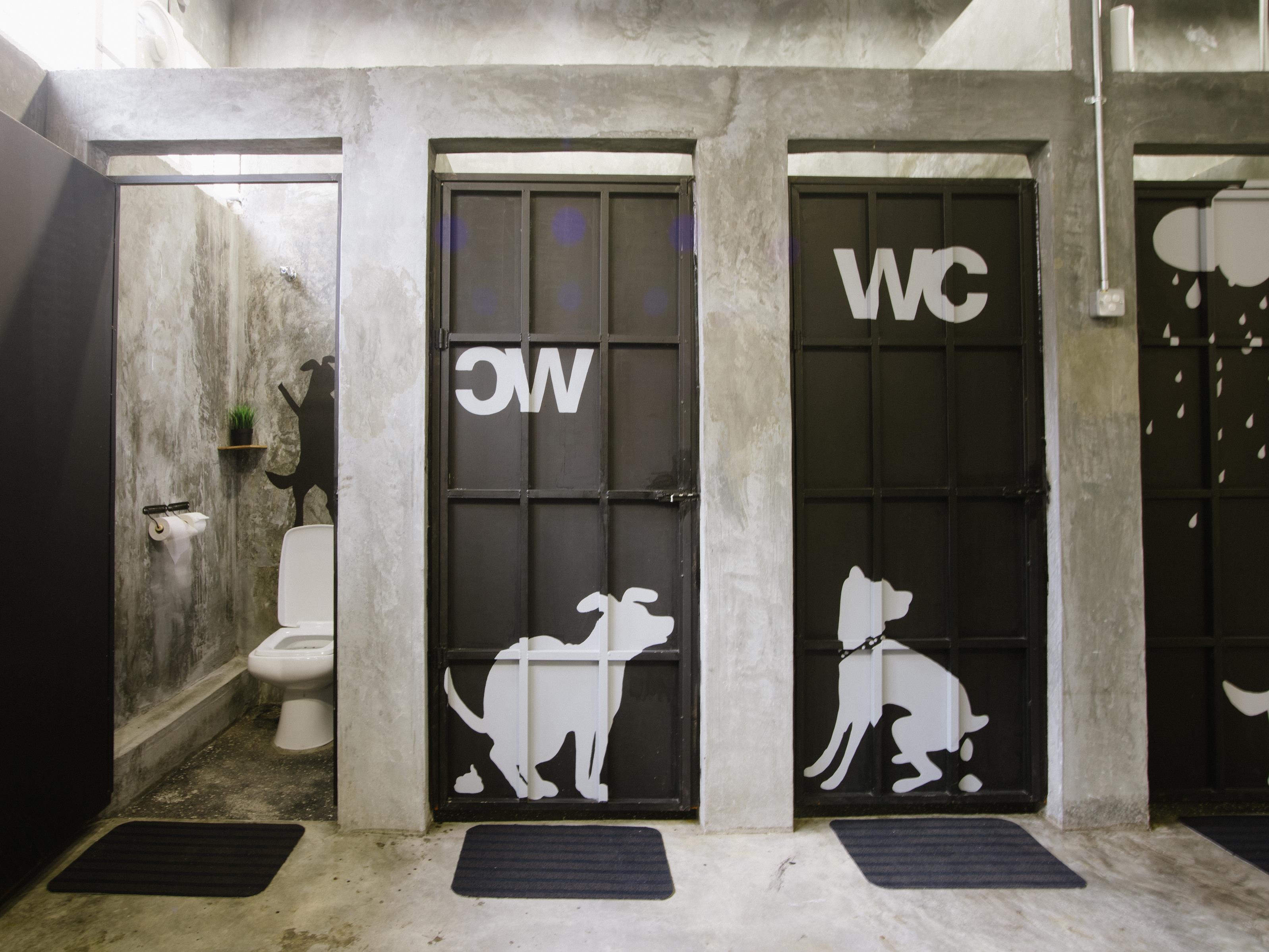 Paper Plane Hostel