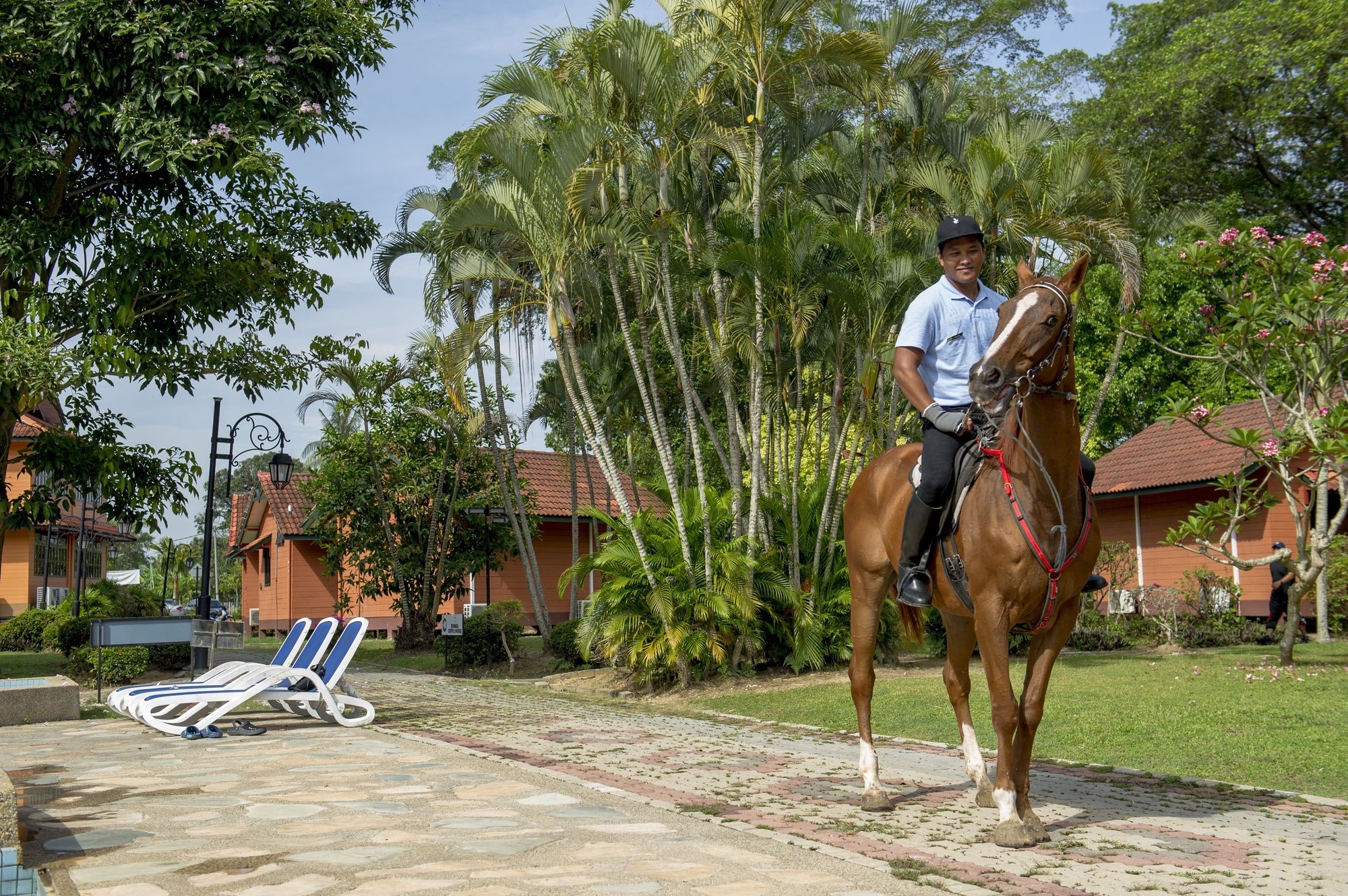 De Palma Resort Kuala Selangor