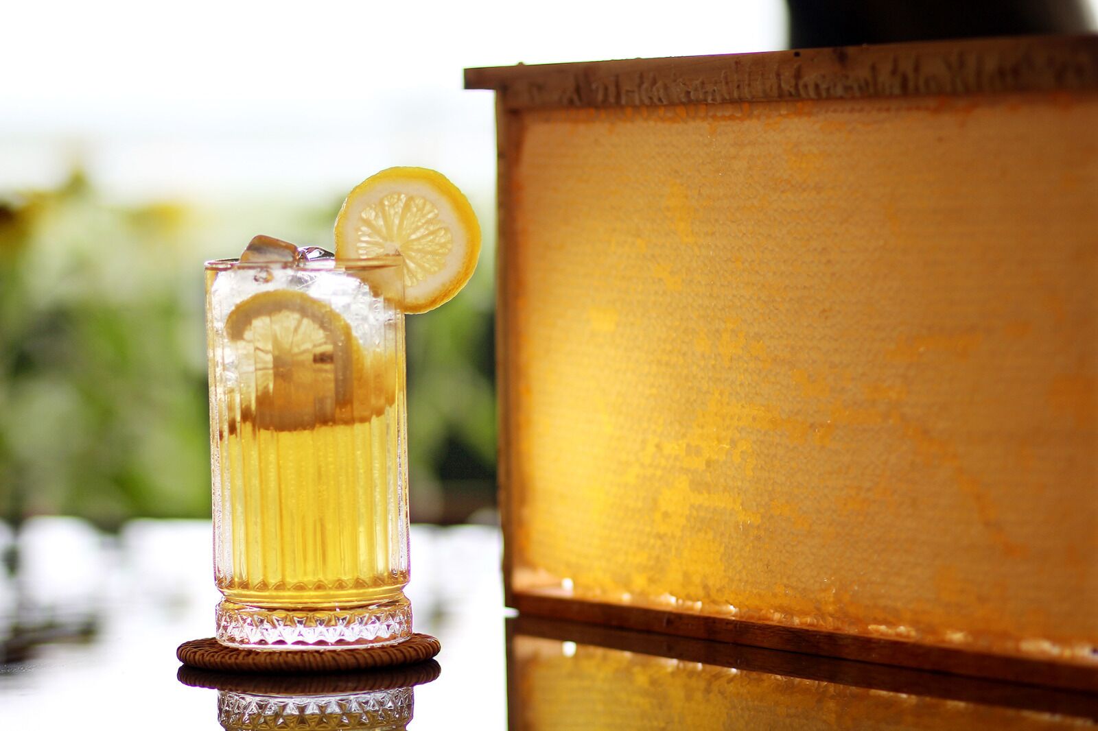 Sunflower World Hotel