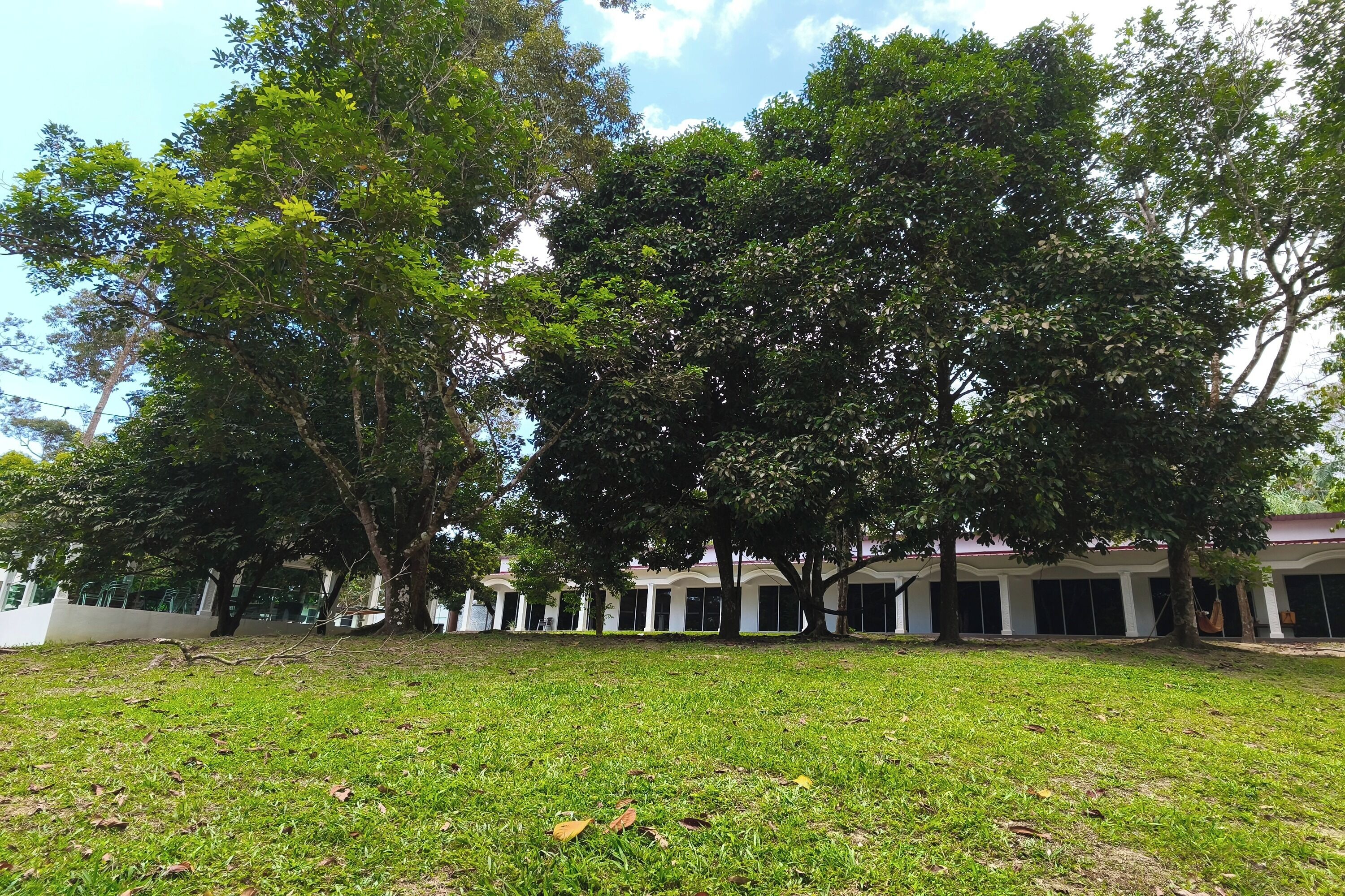 AlSafina Forest Stay
