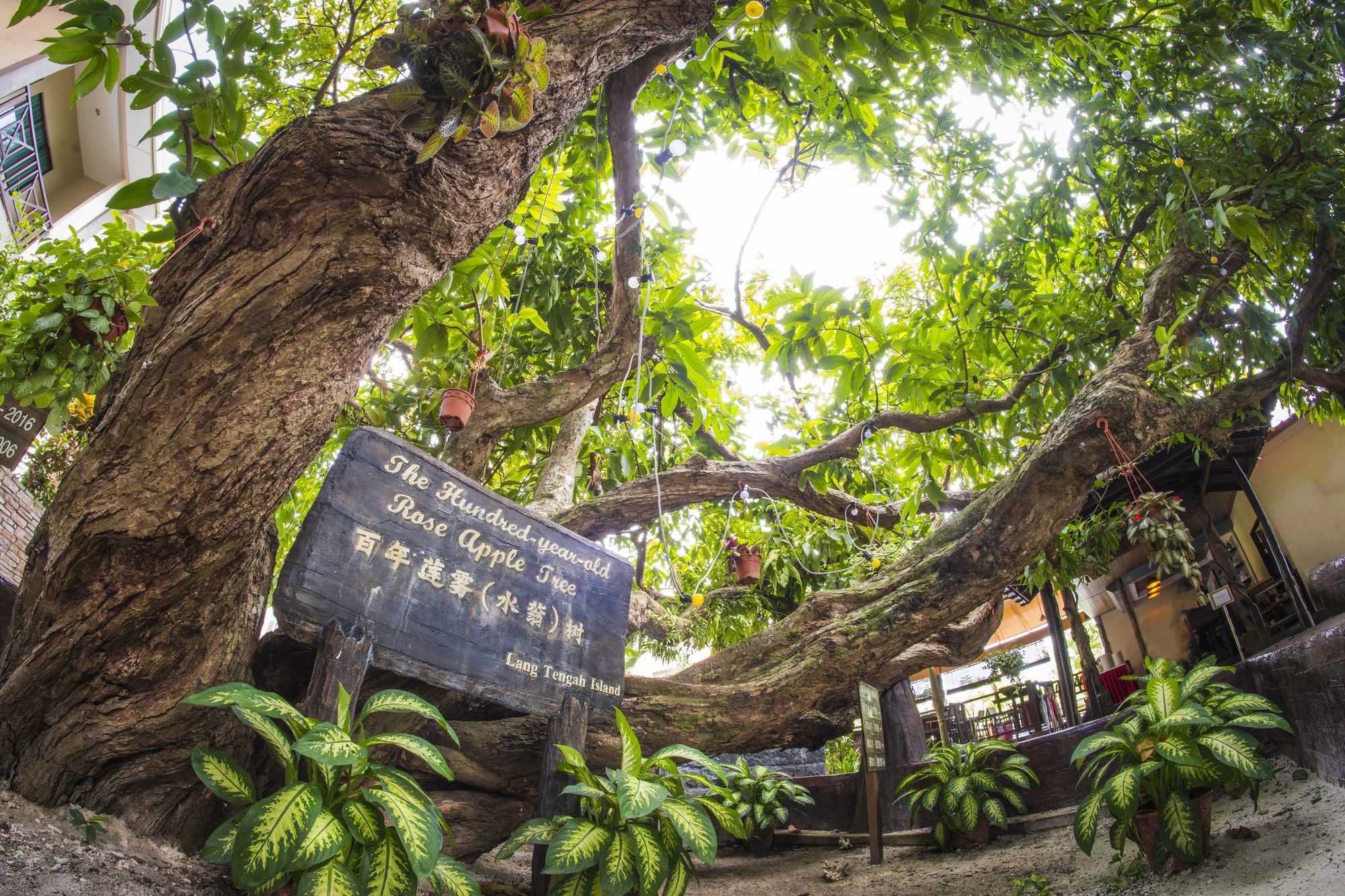 Summer Bay Lang Island Resort