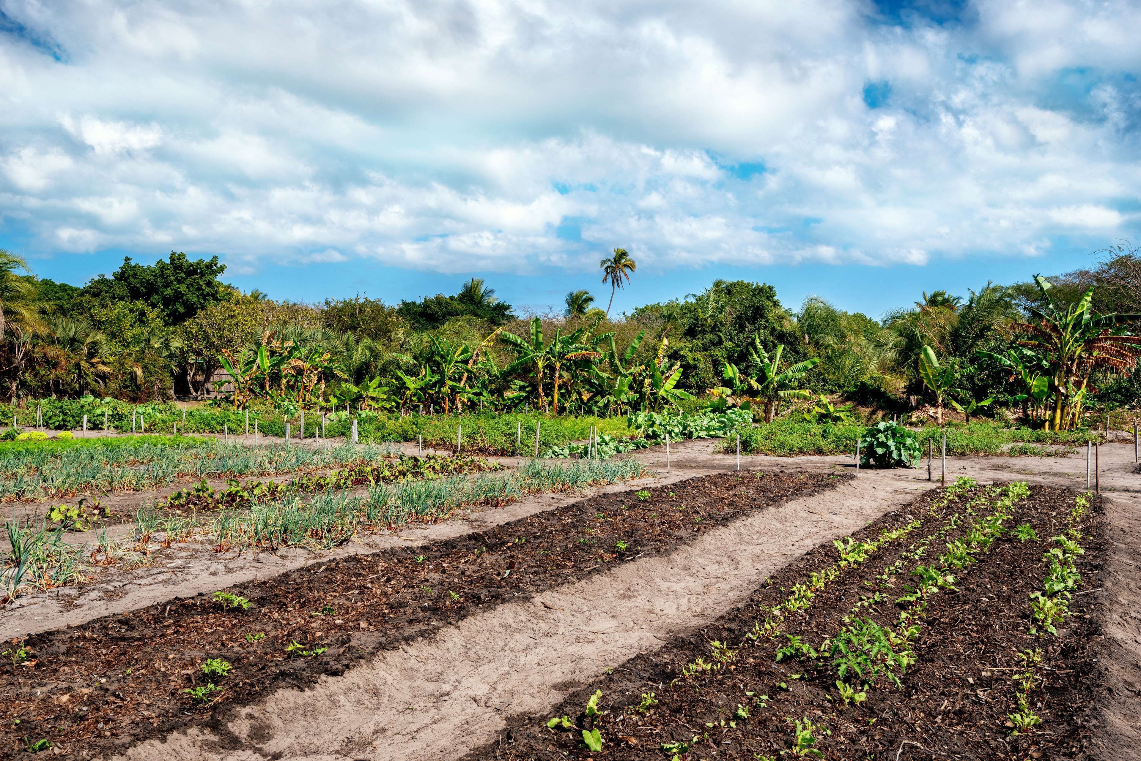 Anantara Bazaruto Island Resort & Spa