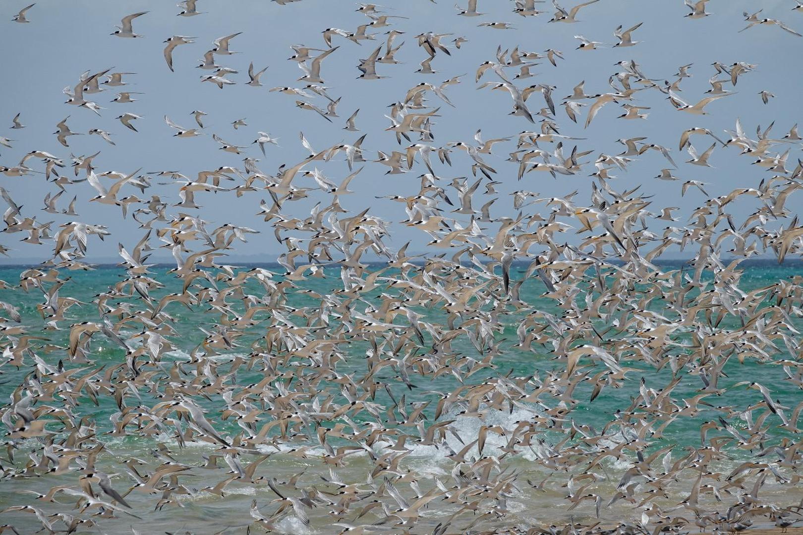 Anantara Bazaruto Island Resort & Spa