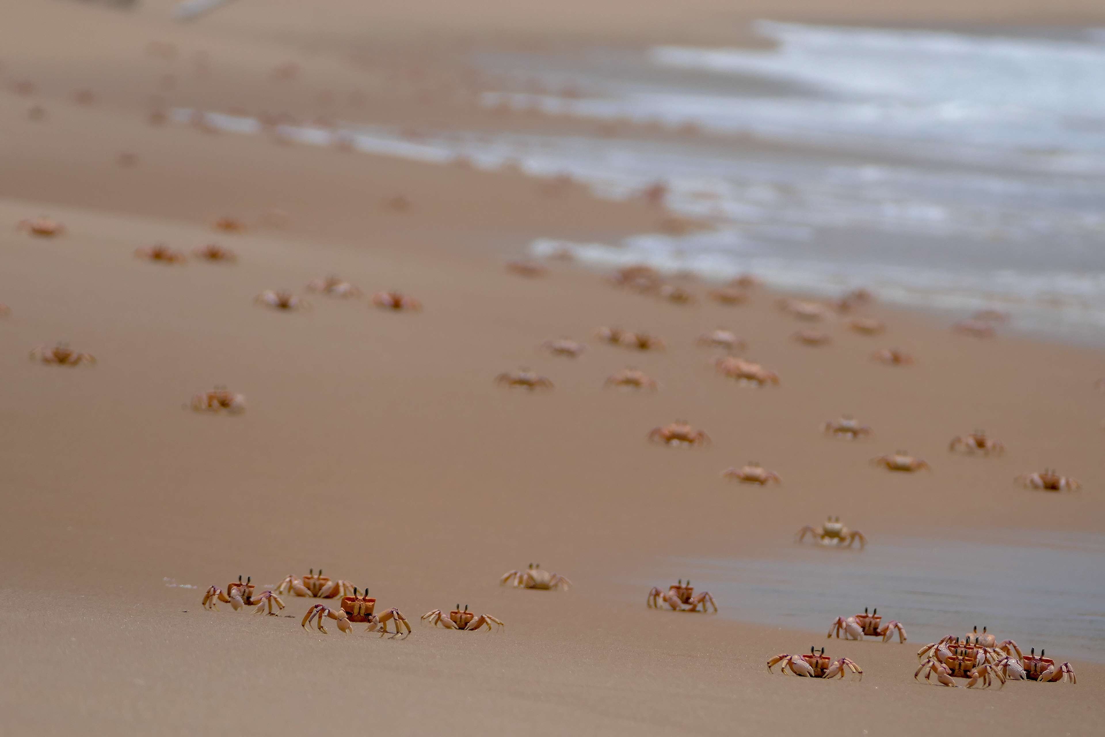 Anantara Bazaruto Island Resort & Spa