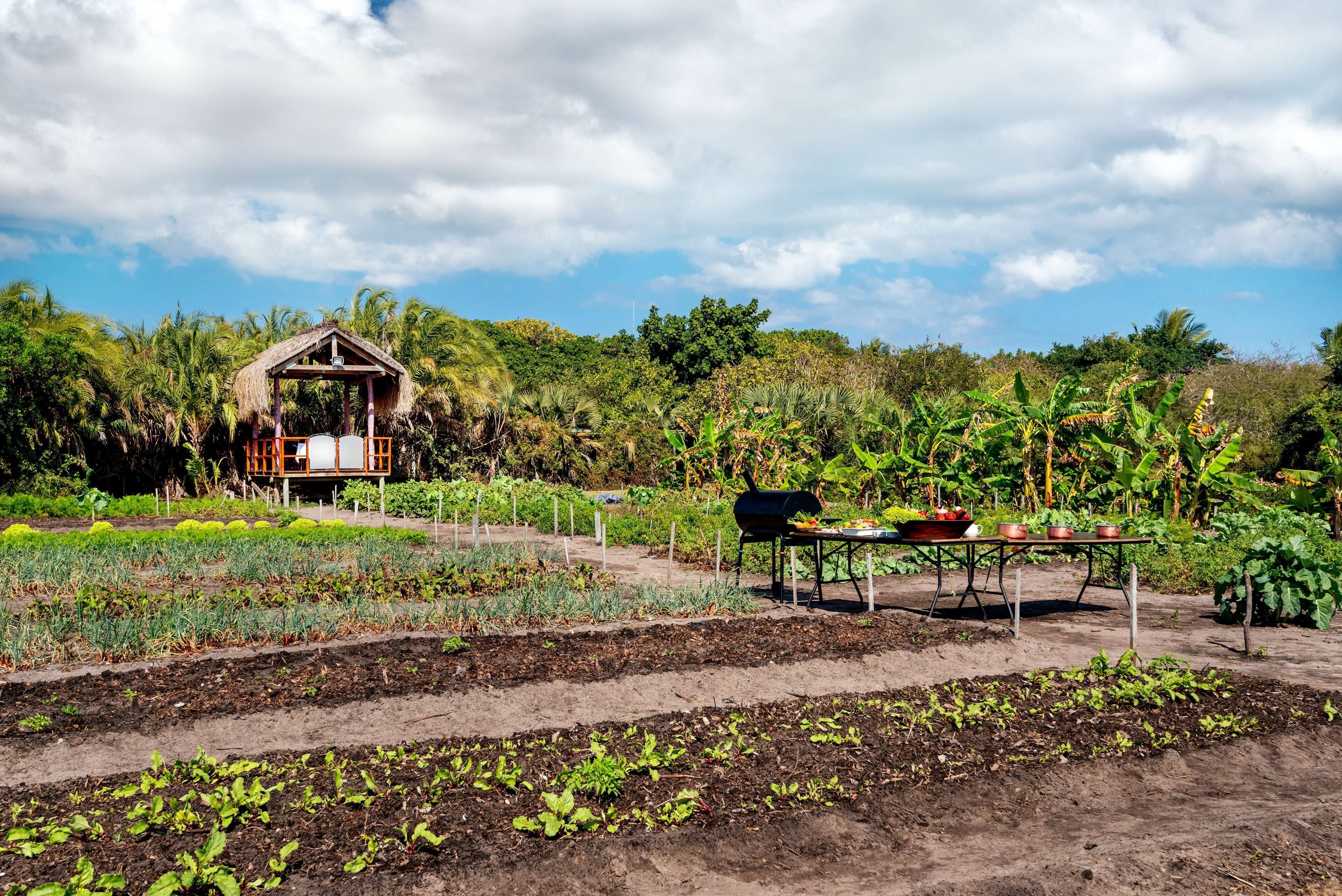 Anantara Bazaruto Island Resort & Spa