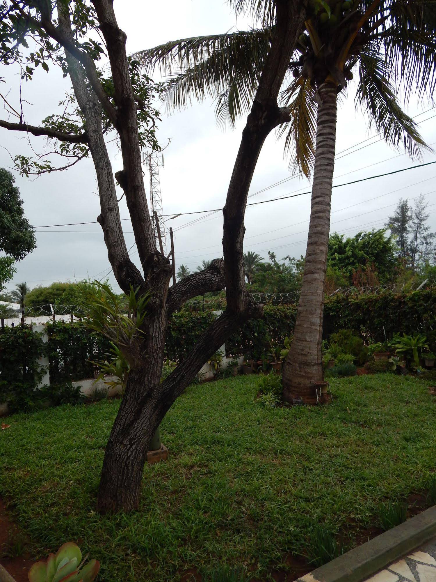 Marumadi Planeta Mocambique
