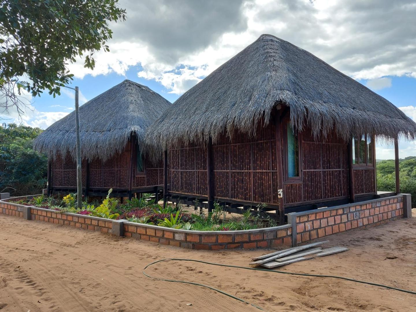 East Africa Safaris