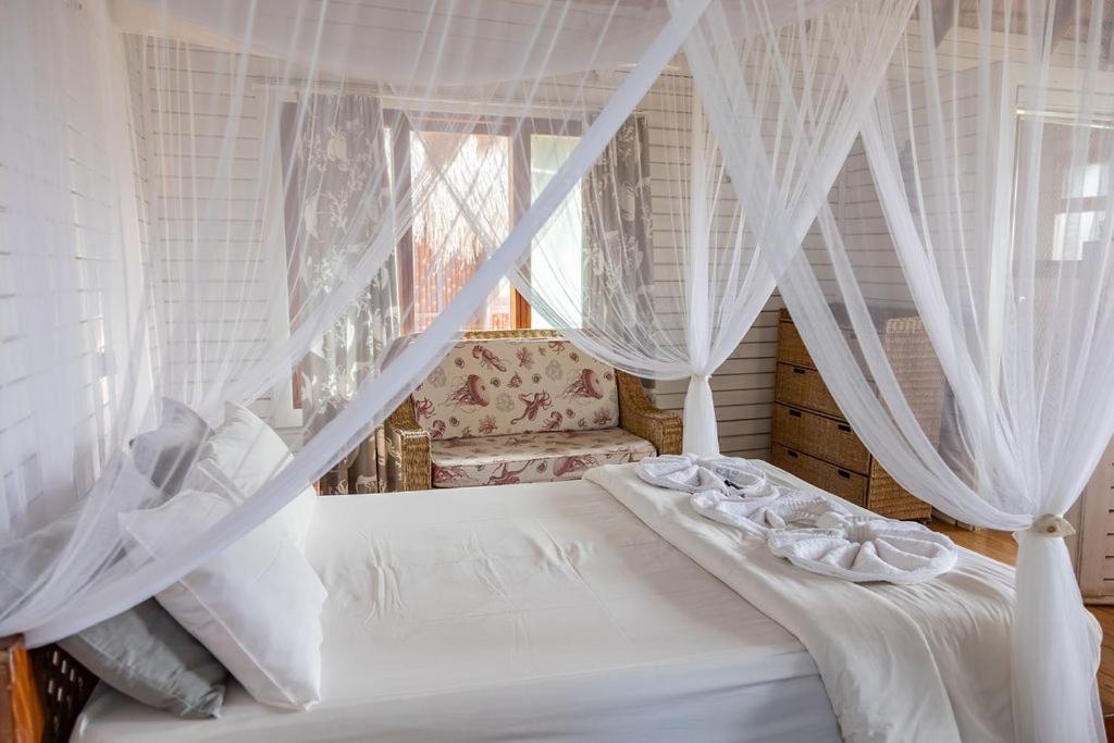 East Africa Safaris