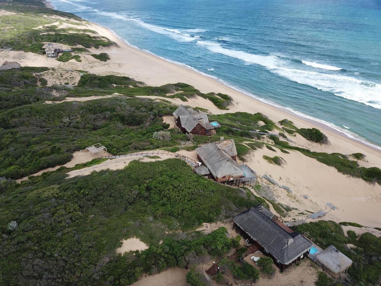 East Africa Safaris
