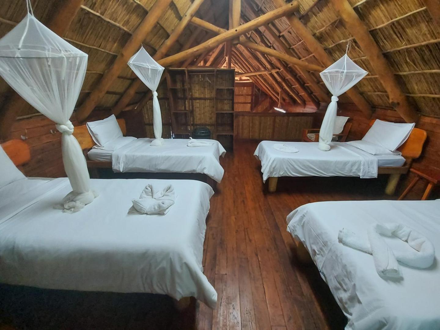 East Africa Safaris
