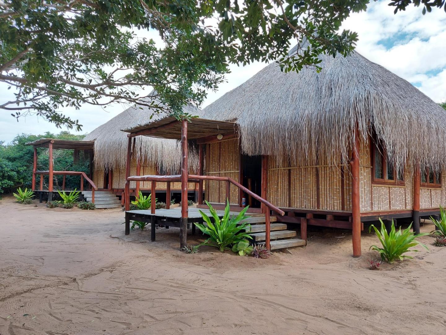 East Africa Safaris