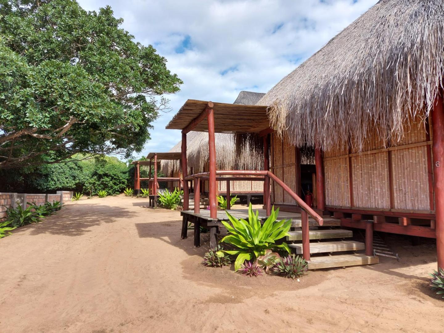 East Africa Safaris