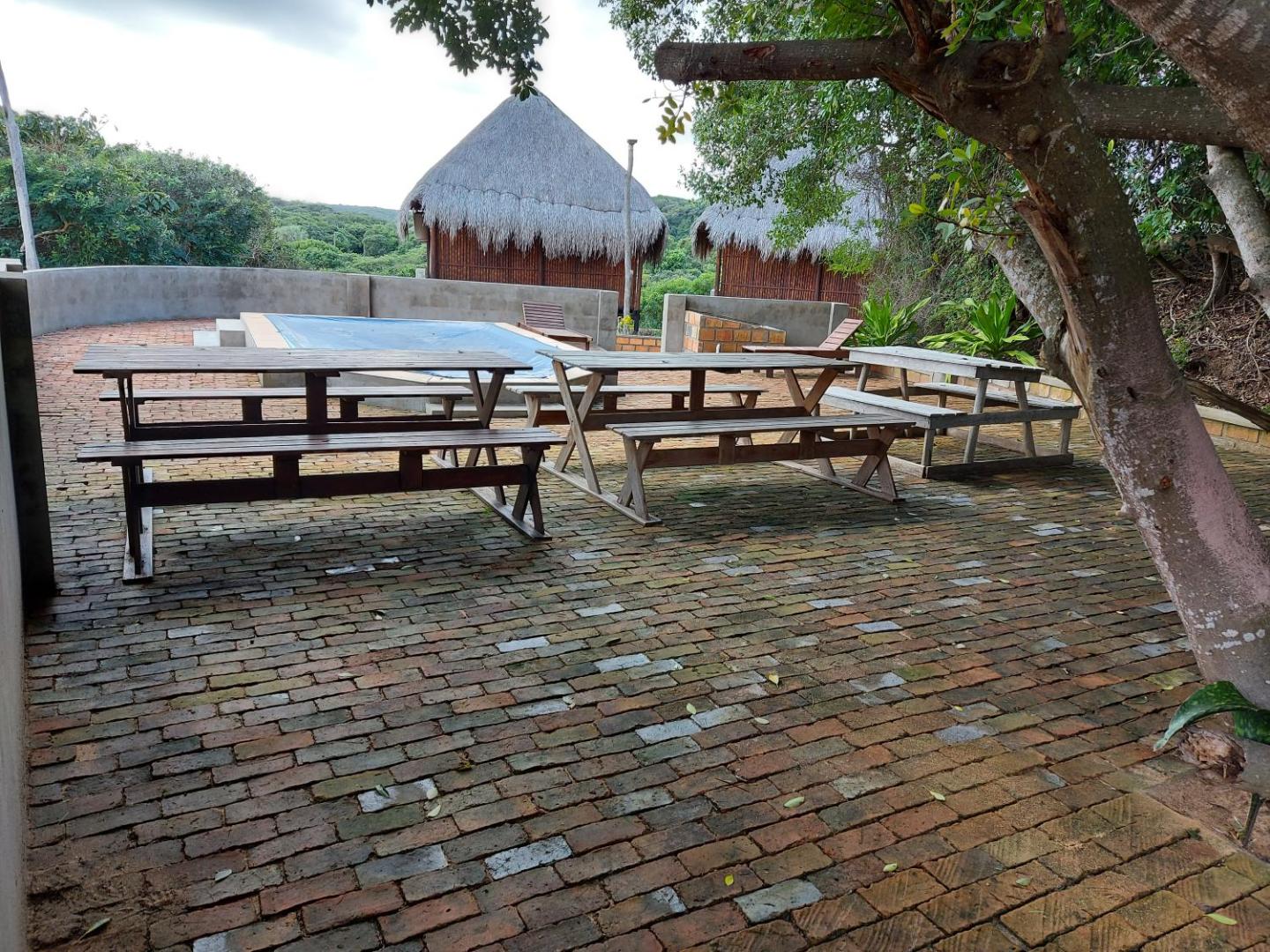 East Africa Safaris