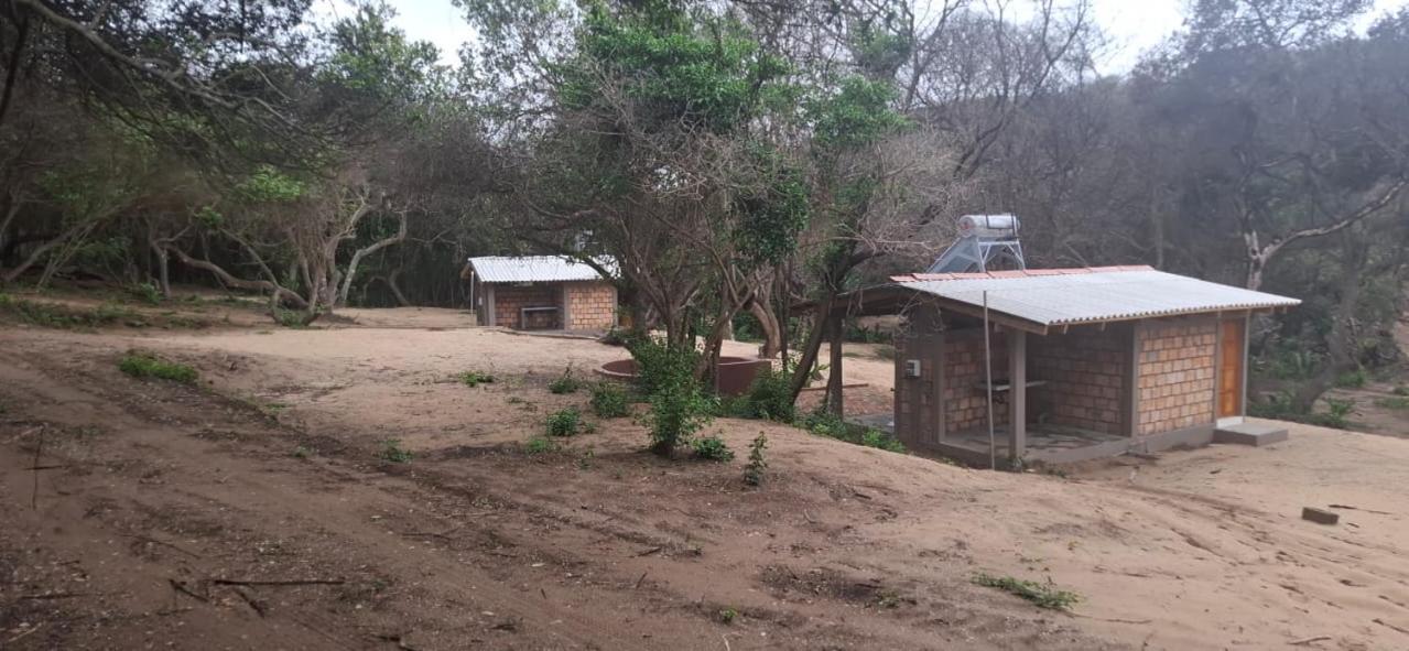 East Africa Safaris