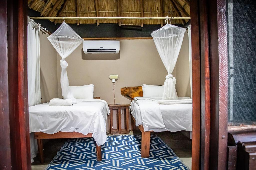 East Africa Safaris
