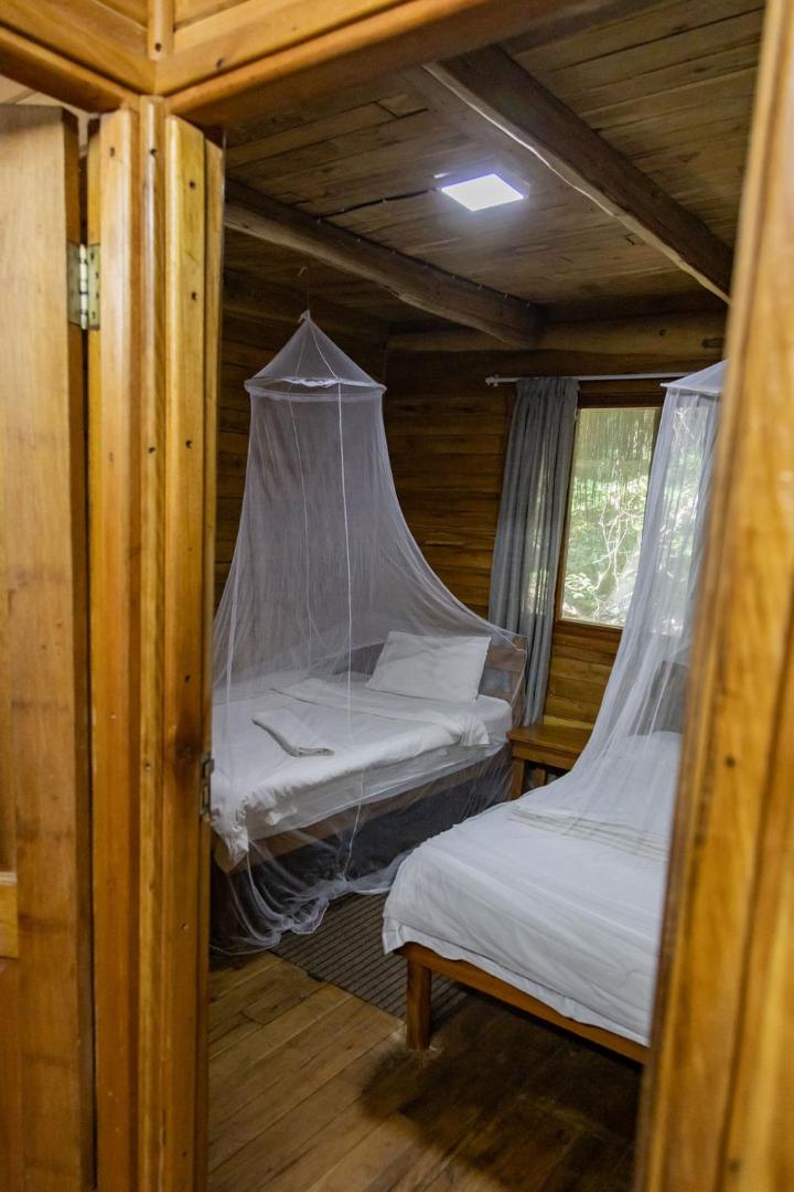 East Africa Safaris