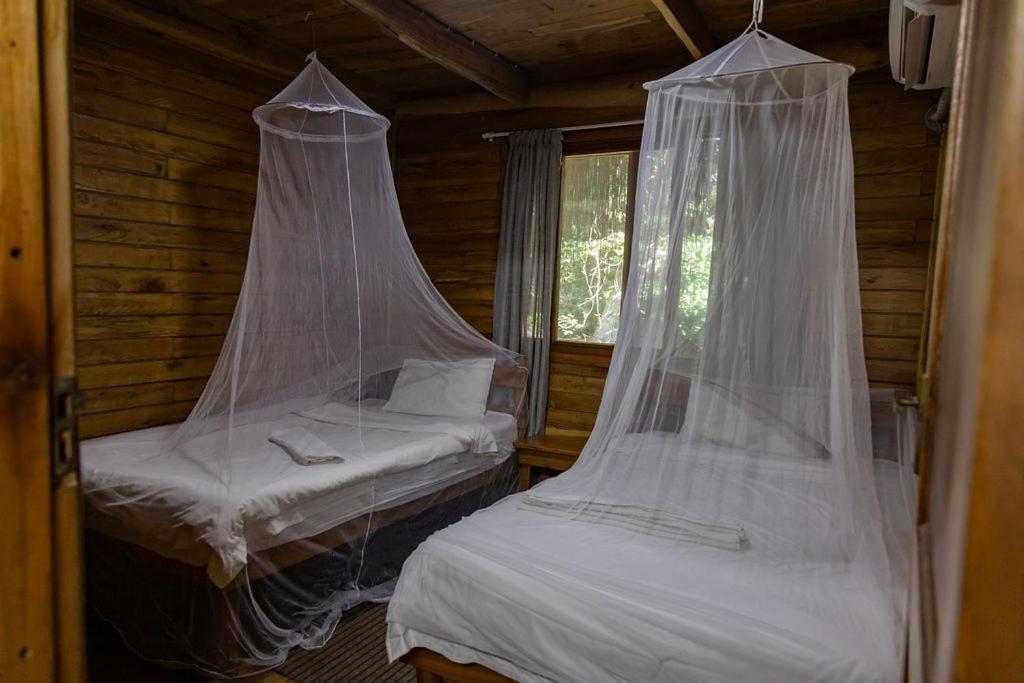 East Africa Safaris