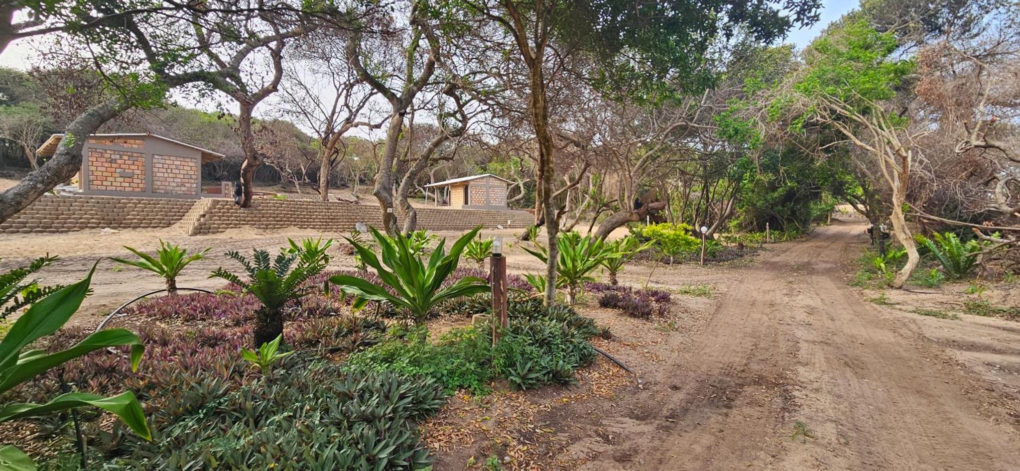 East Africa Safaris