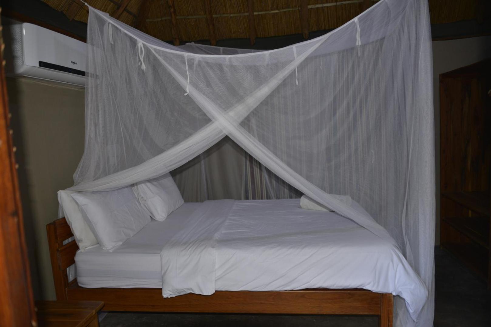 East Africa Safaris