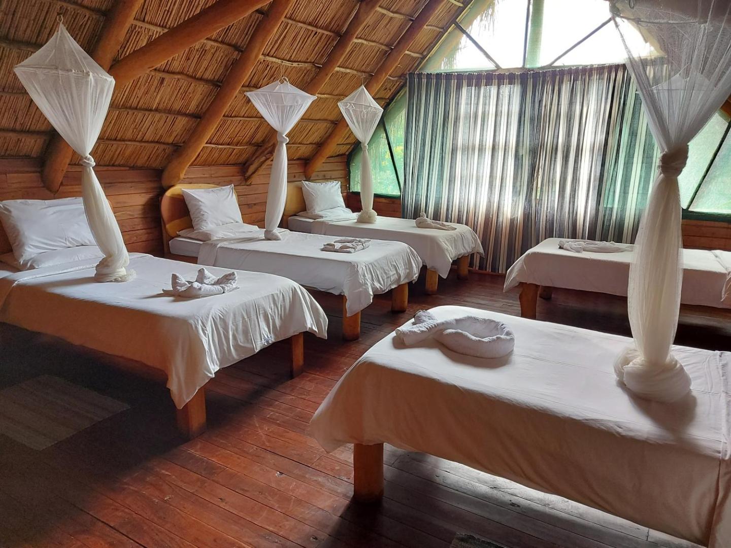East Africa Safaris