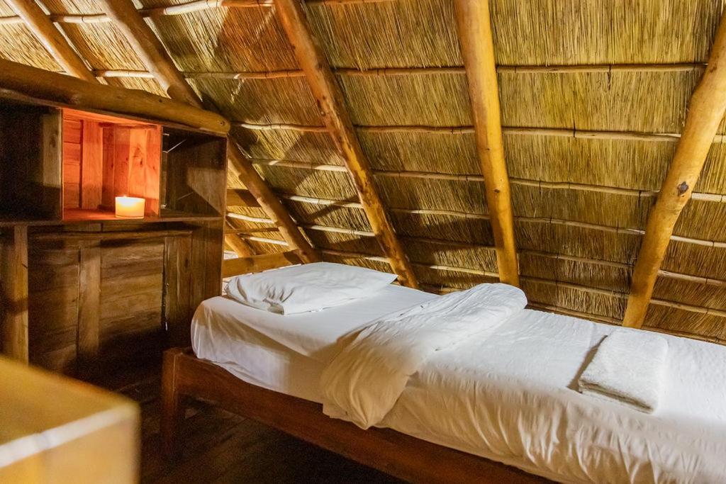 East Africa Safaris