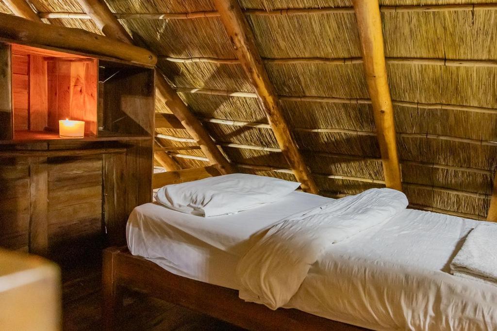 East Africa Safaris