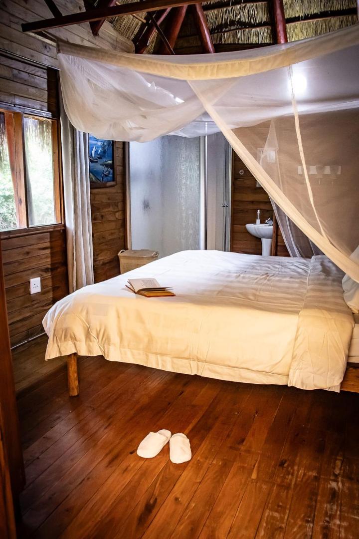 East Africa Safaris