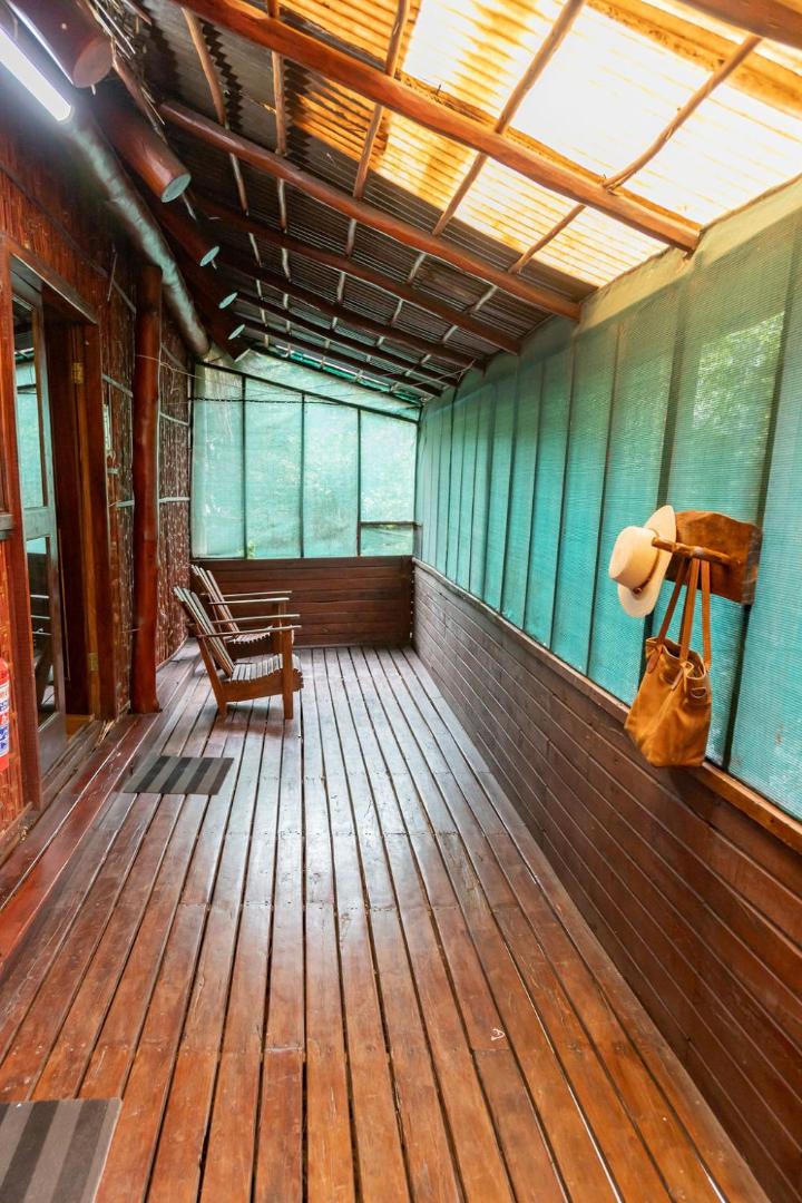 East Africa Safaris
