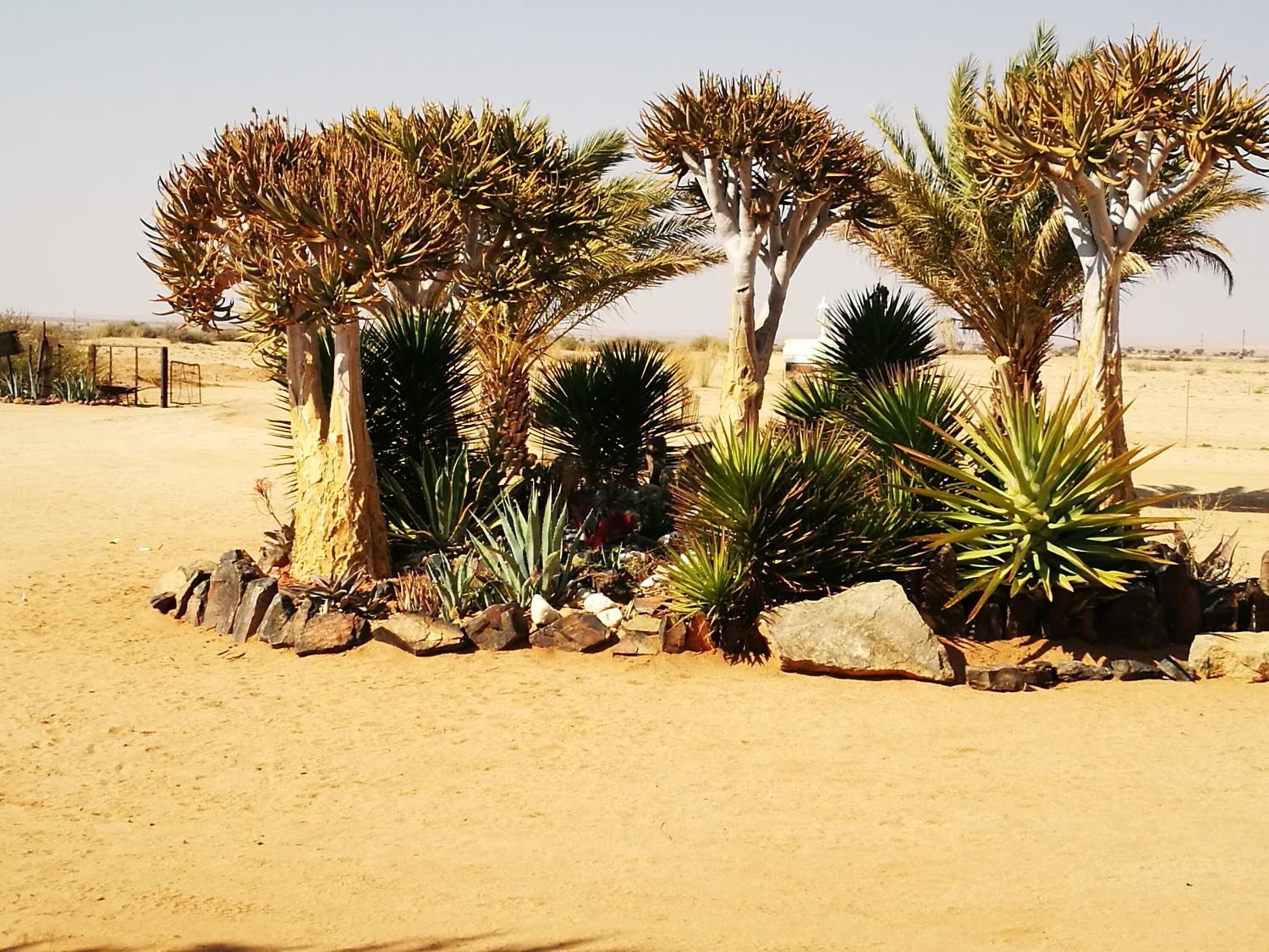 Namgate Farmstead Guesthouse