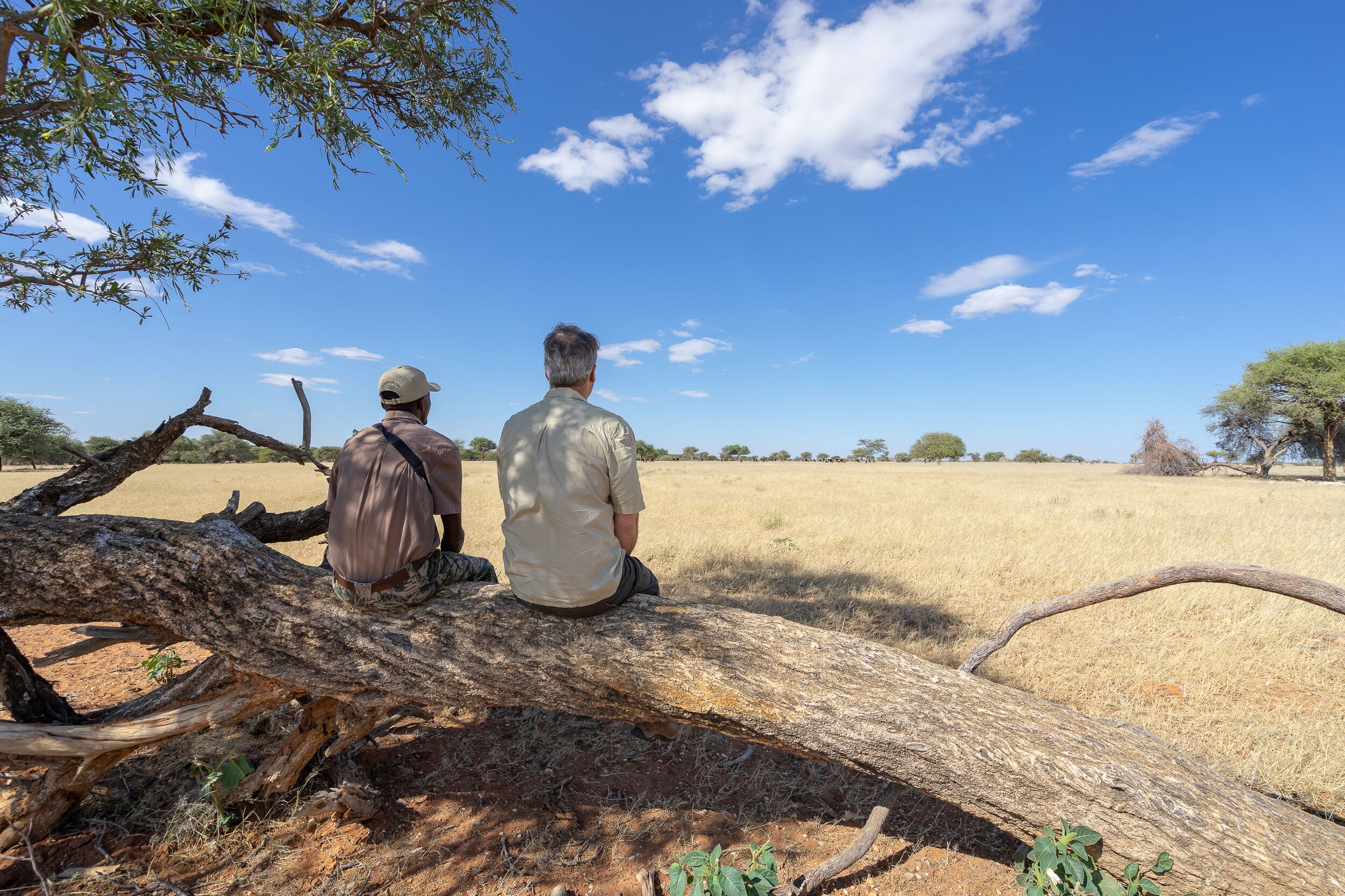 Ohorongo Private Game Reserve