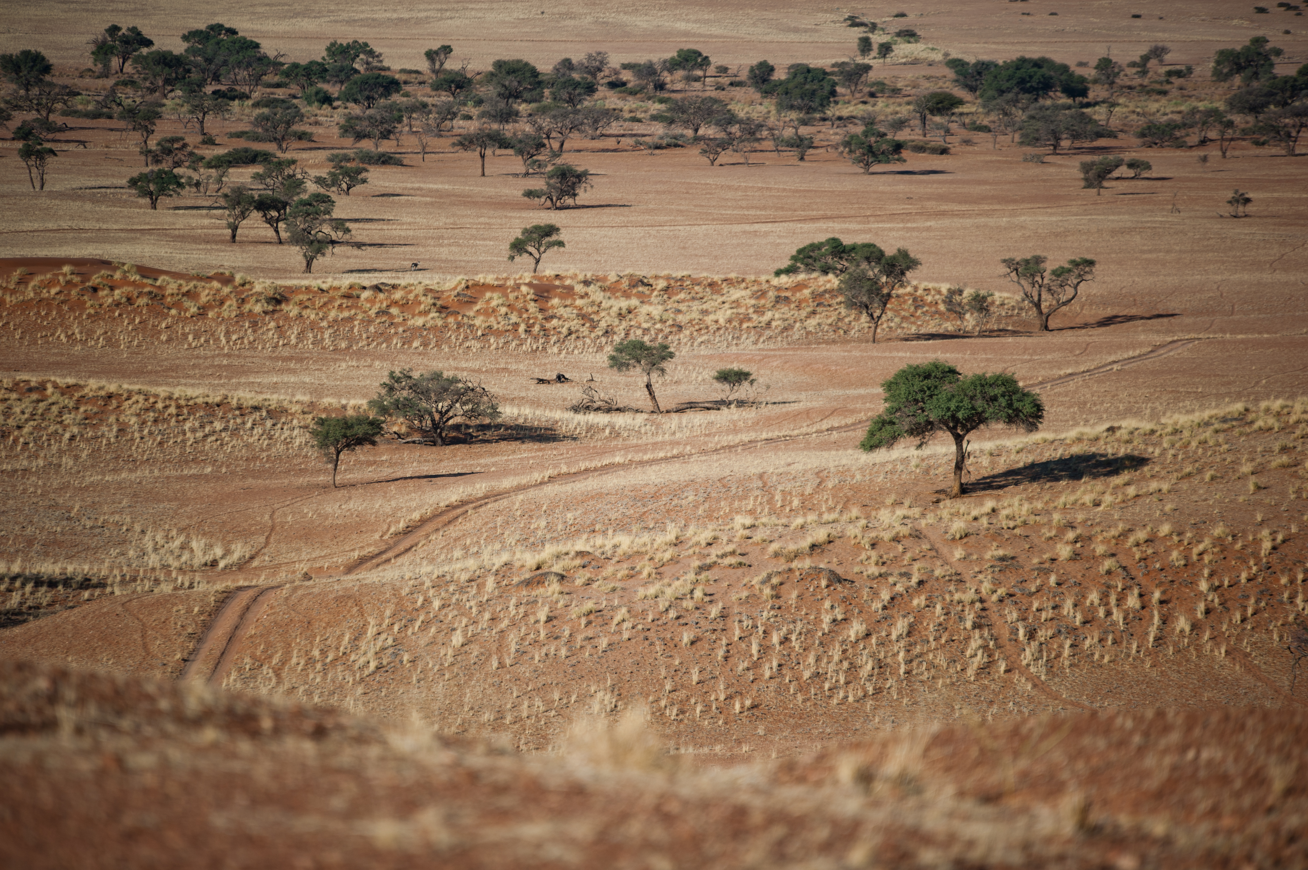 Namib Desert Lodge