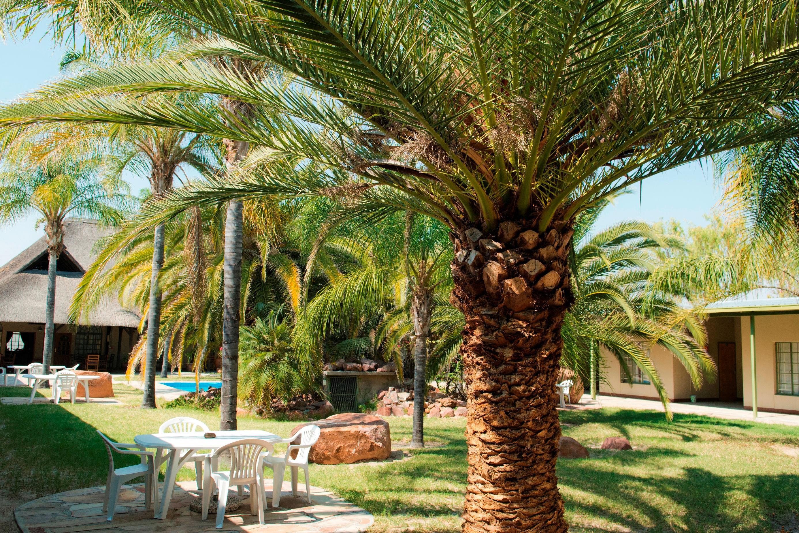 Oshakati Country Lodge