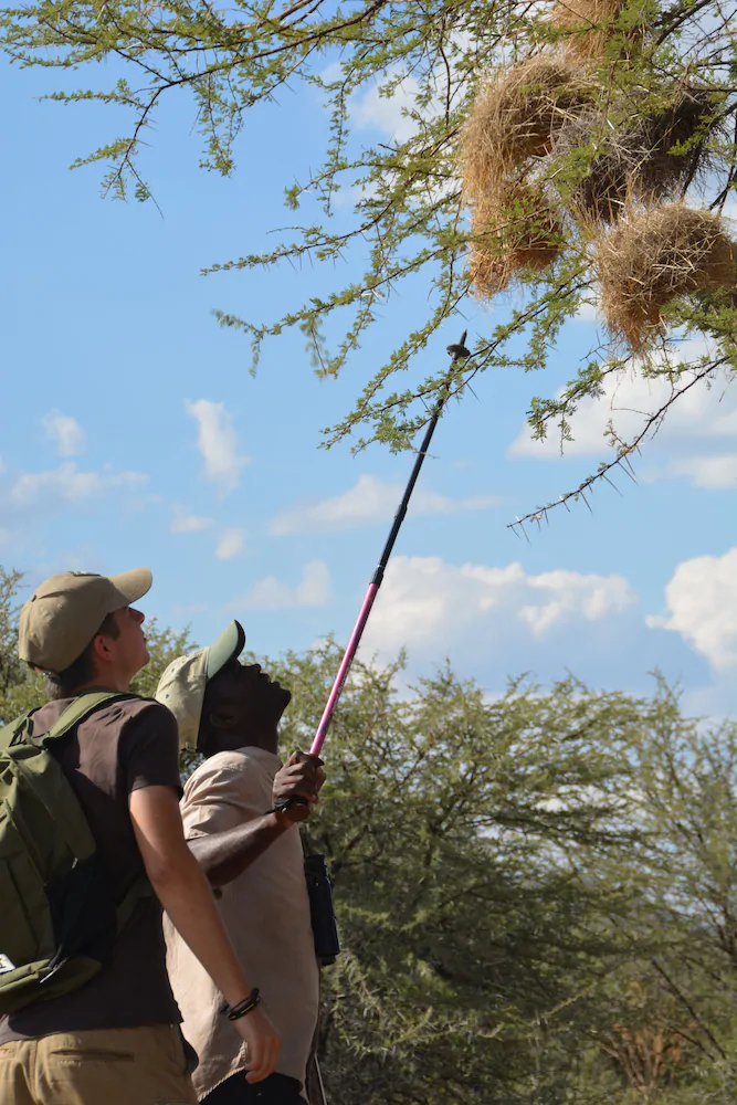 Lodge - Gabus Game Ranch