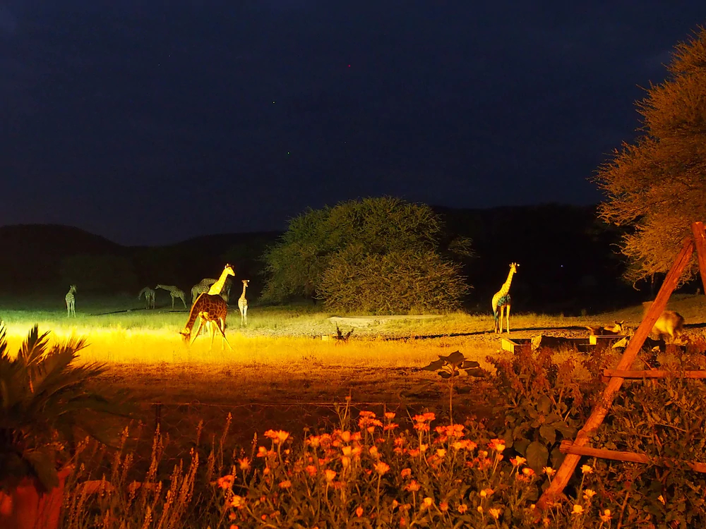 Lodge - Gabus Game Ranch