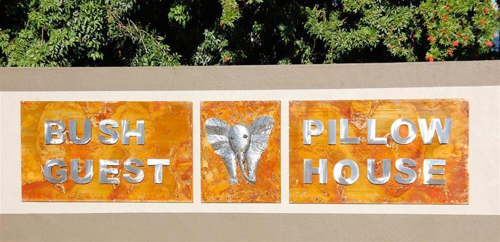 Bush Pillow Guest House