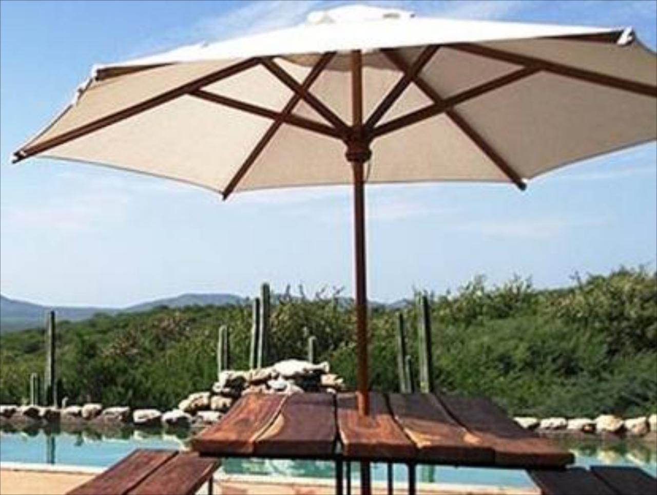 Sasa Safari Camp