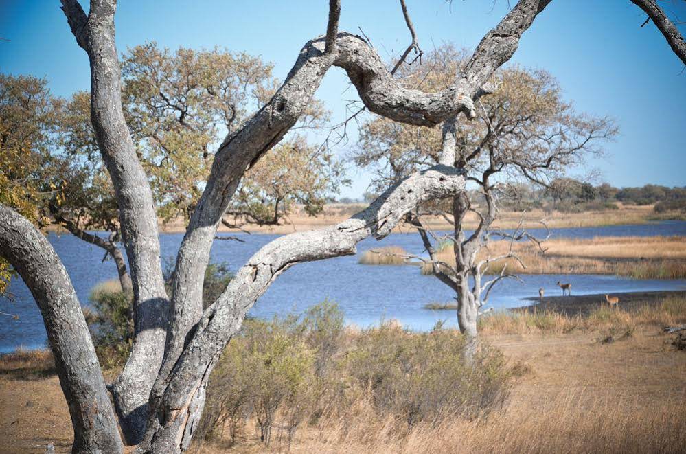 Jackalberry Tented Camp