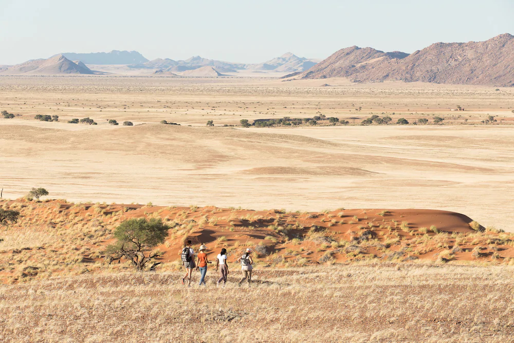 Desert Whisper