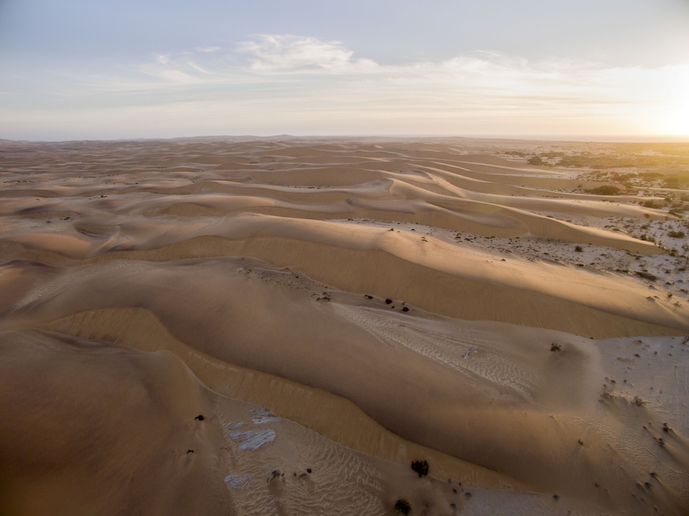Desert Breeze