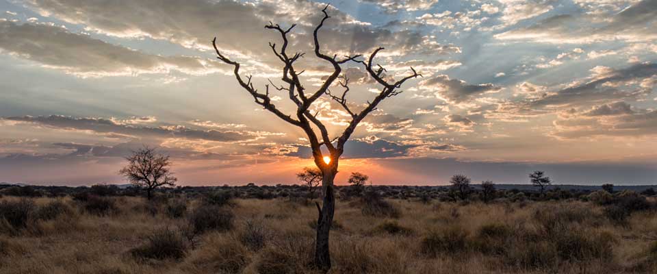 N/a'an ku se Lodge