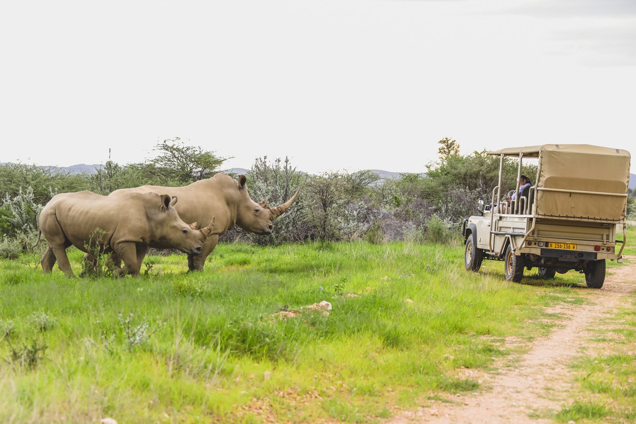 Okapuka Safari Lodge