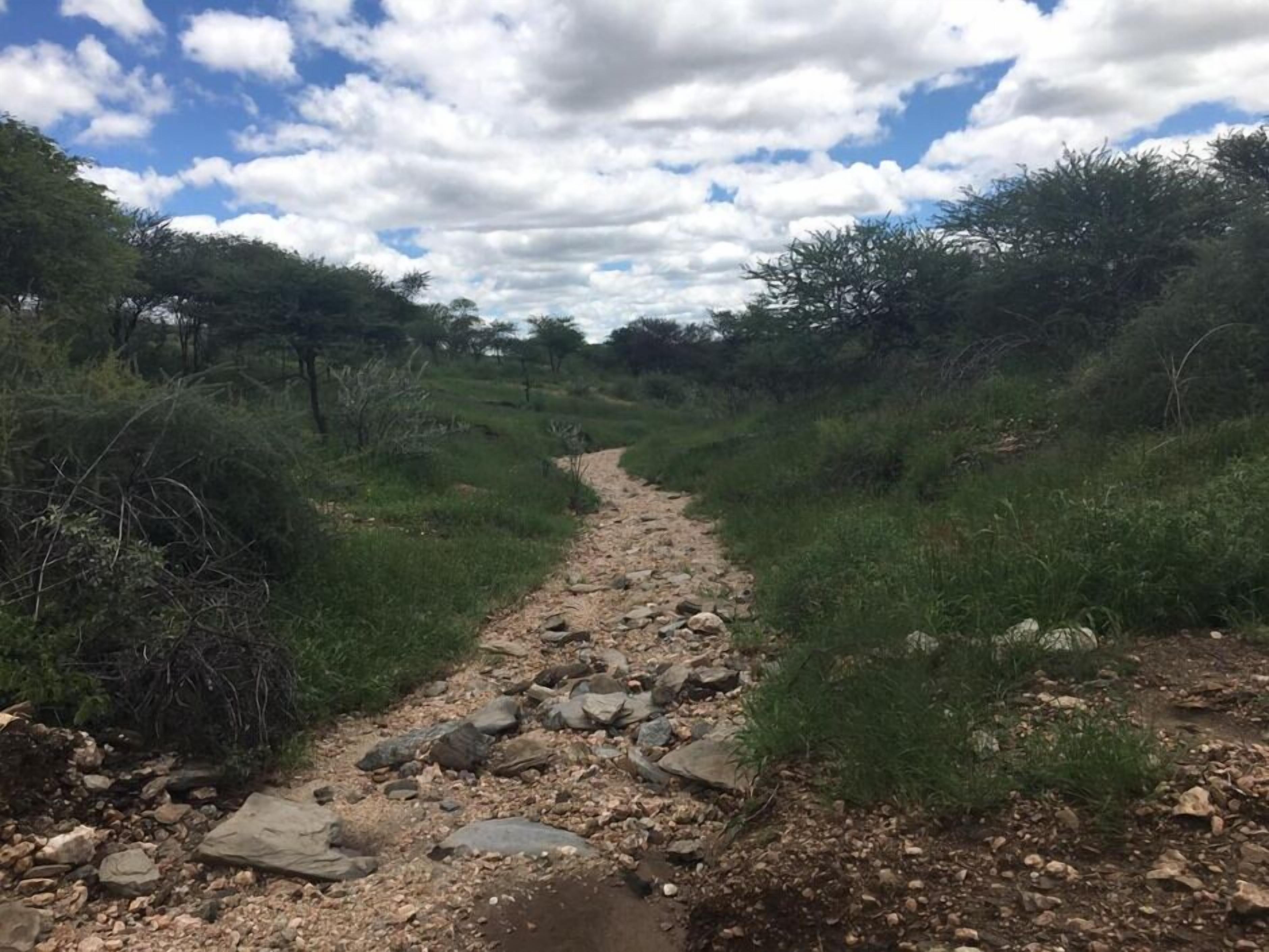 Ripley's Self-Catering Camp Windhoek