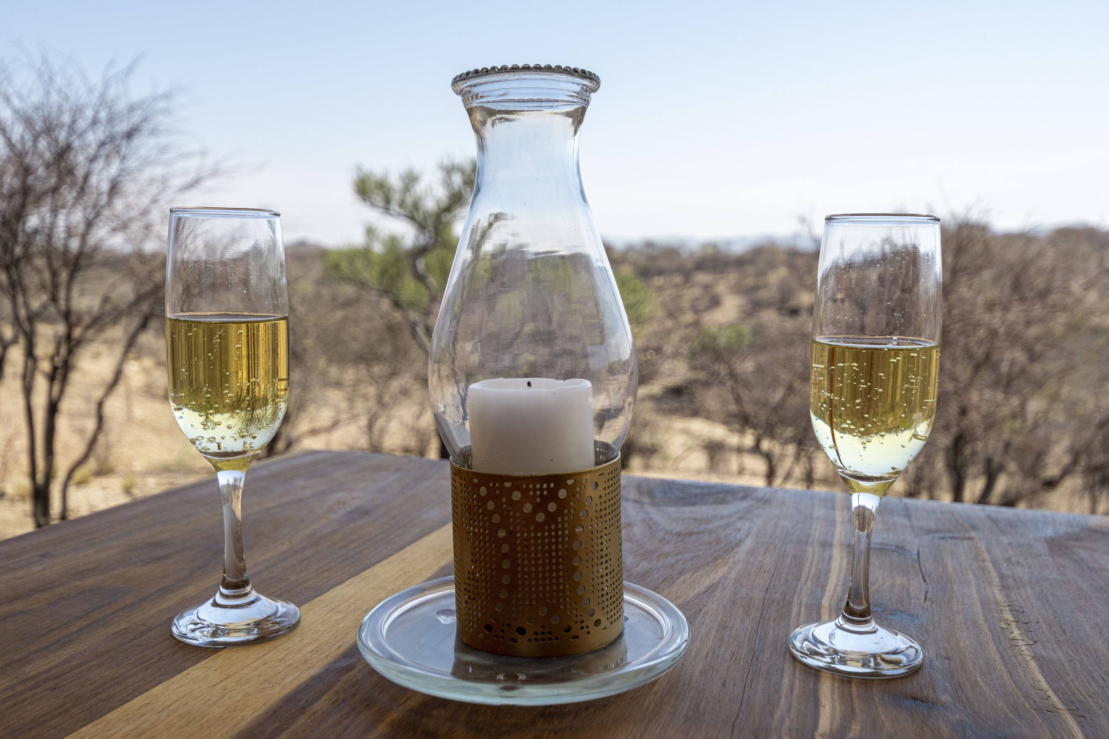 Ripley's Self-Catering Camp Windhoek